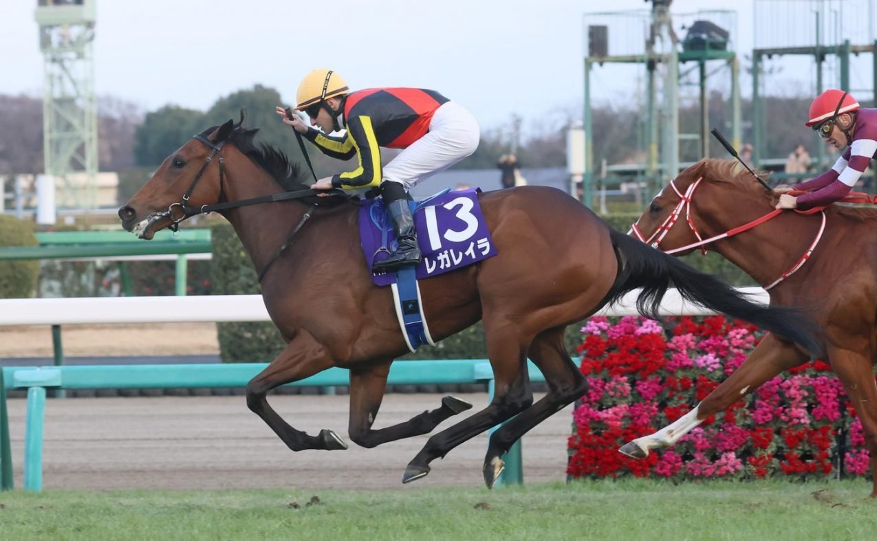 🏇 나카야마 경마장 이미지 10